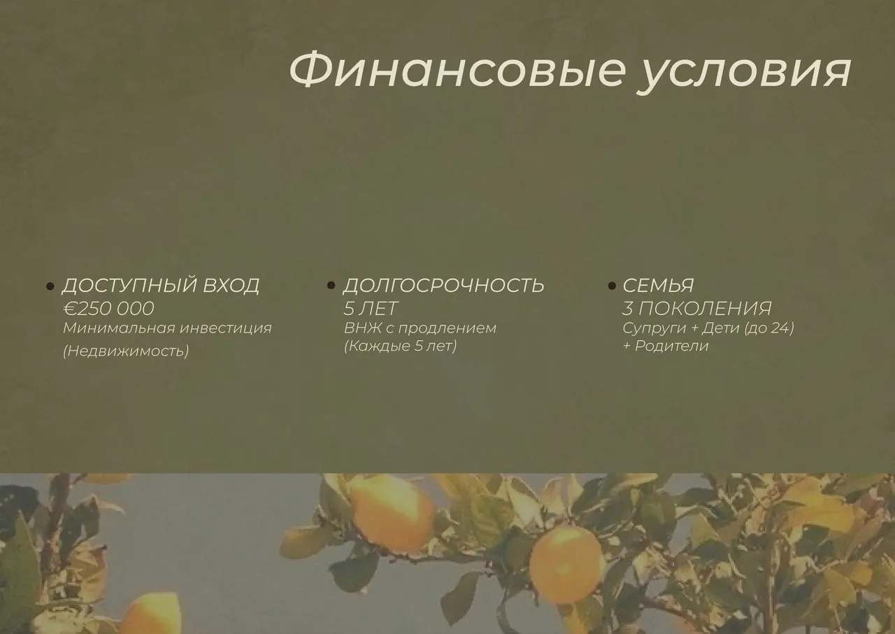 MNF Group — финансовые условия