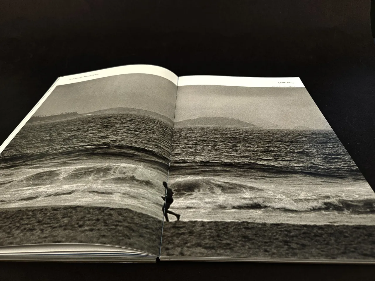 «Рио-⁠де-⁠Жанейро», книга — море