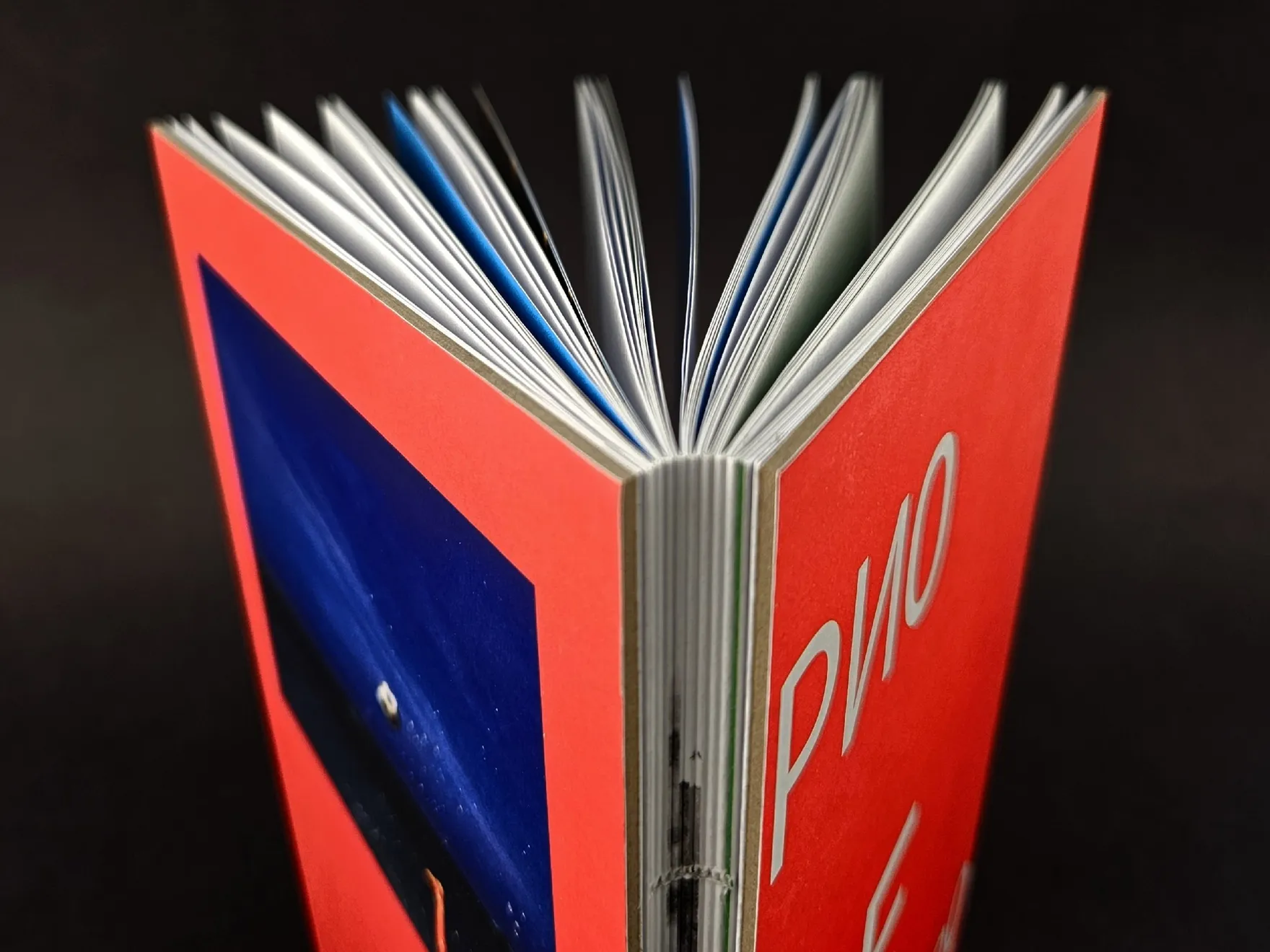 «Рио-⁠де-⁠Жанейро», книга — корешок
